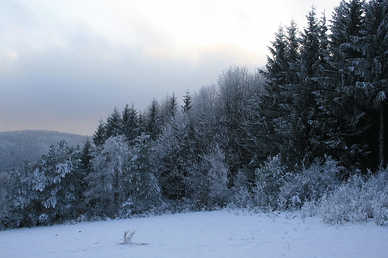 Bieszczady 12.2007 055